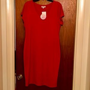 Lovely red dress. You will love it.